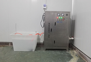 漂白脫色高濃度臭氧水一體機(jī)